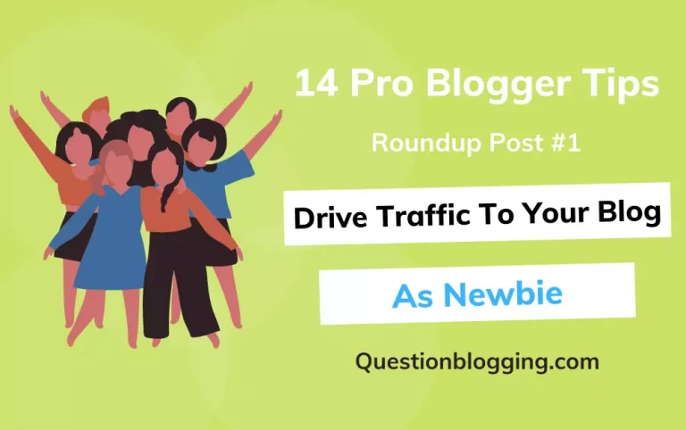 How to drive traffic to your blog as a newbie 2022? [14 Pro Bloggers tips]